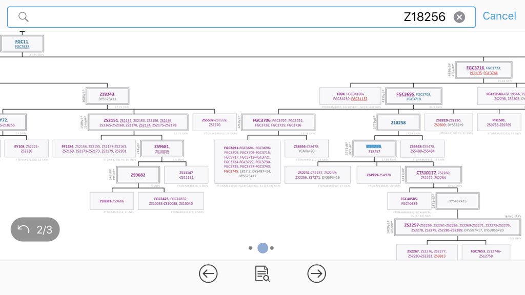 نتيجة من أسرة آل علي صلاح الفايدي  الصلاحي من ريشان والأصل من أهل بن صلاح مكتب  الضبي  يافع بني مالك رقم العينةftdna 759996 على السلالة j1 وغالبا j1-fgc11-fgc3723-Z18256  متكتله مع قبائل يافع