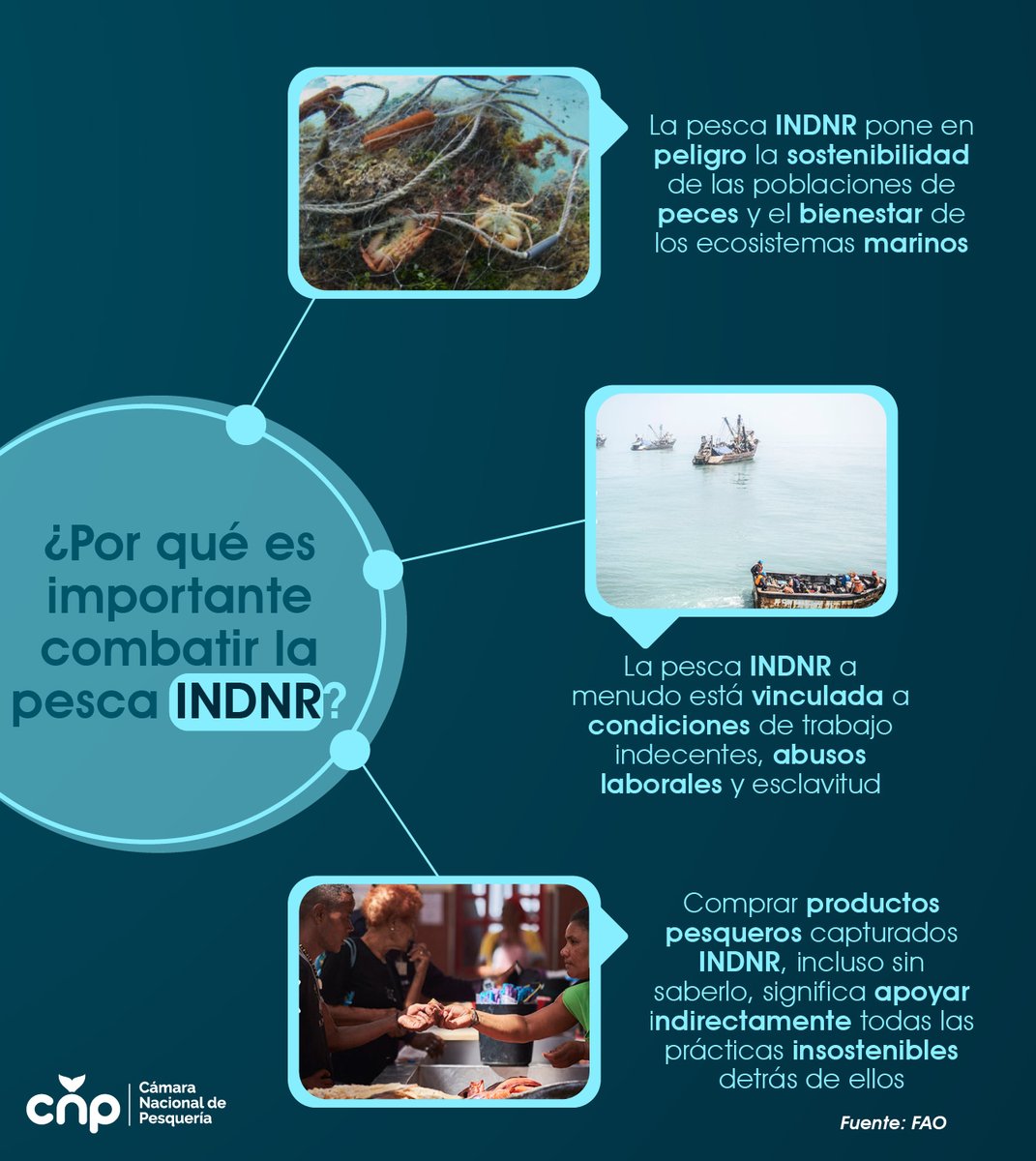 PesqueriaEc's tweet photo. Nos unimos a la lucha global contra la pesca ilegal que no solo amenaza la biodiversidad marina, sino también pone en riesgo los medios de vida de millones de personas que dependen de la pesca para su sustento. 

Por ello, en la CNP, reafirmamos nuestro compromiso con la pesca responsable y sostenible, apoyando políticas y prácticas que erradiquen esta actividad ilegal.

Proteger nuestros océanos y garantizar la pesca sostenible es esencial para nuestro futuro. 🐟

#PescaResponsable #LuchaContraLaPescaIlegal #CámaraNacionalDePesquería