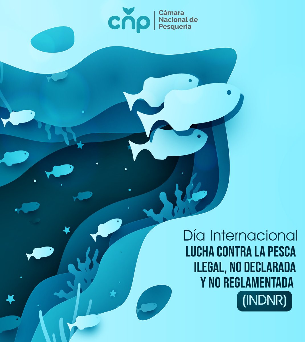 PesqueriaEc's tweet photo. Nos unimos a la lucha global contra la pesca ilegal que no solo amenaza la biodiversidad marina, sino también pone en riesgo los medios de vida de millones de personas que dependen de la pesca para su sustento. 

Por ello, en la CNP, reafirmamos nuestro compromiso con la pesca responsable y sostenible, apoyando políticas y prácticas que erradiquen esta actividad ilegal.

Proteger nuestros océanos y garantizar la pesca sostenible es esencial para nuestro futuro. 🐟

#PescaResponsable #LuchaContraLaPescaIlegal #CámaraNacionalDePesquería