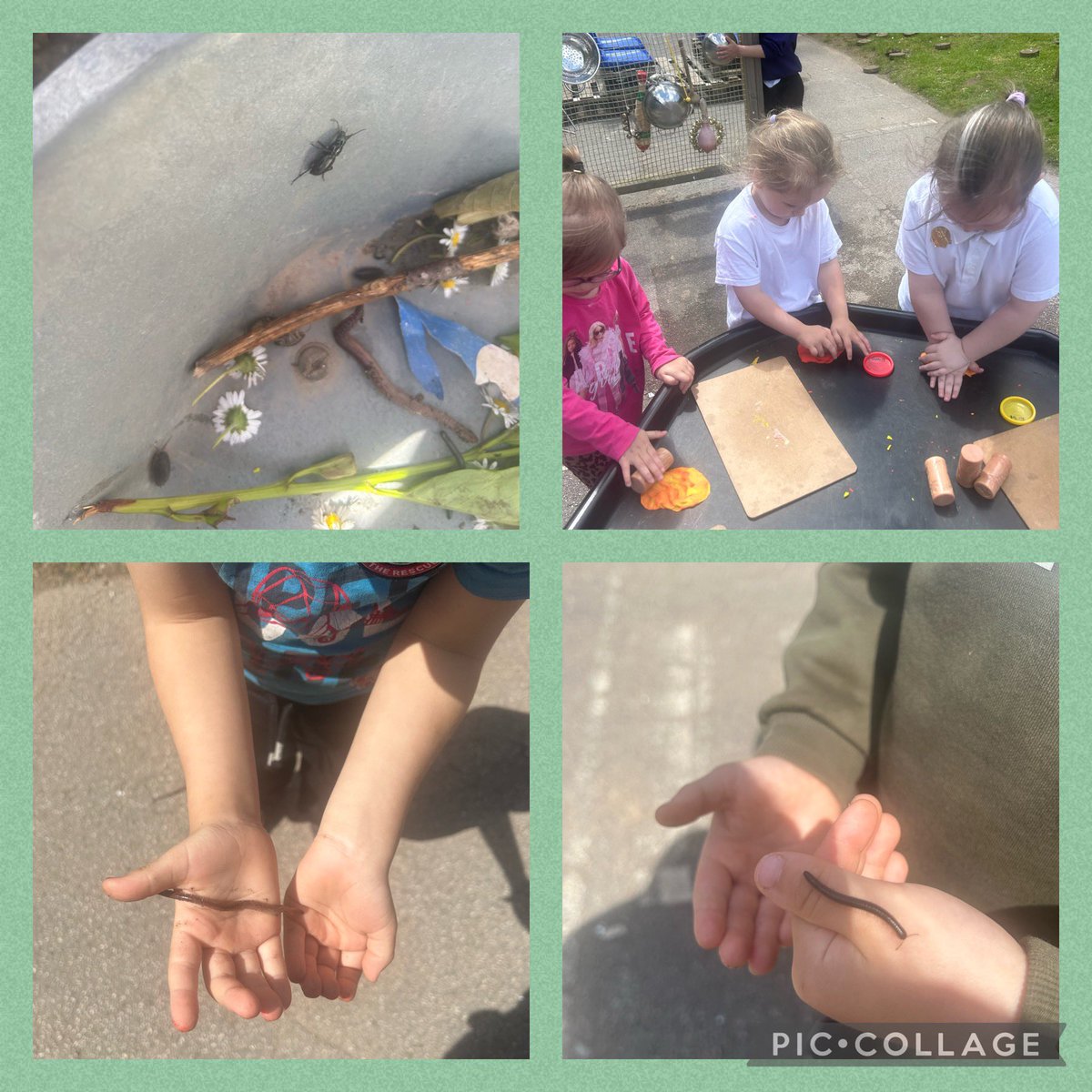 bwpnurseryeyfs's tweet photo. Lots of fun this afternoon in EYFS🪱☀️🌿 https://t.co/TPWJXC1k2M