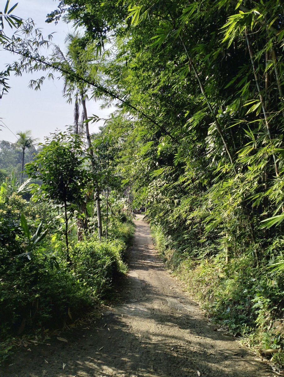 Jika perjalanan ini menyajikan perih di telapak kaki, maka ada segurat luka yang masih belum sempurna sirna. Meski rimbun dedaunan menempati rasa, suguhkan semilir Bayu menerpa, luka ini terlalu dalam terpendam dalam kelam.
#GuratHening