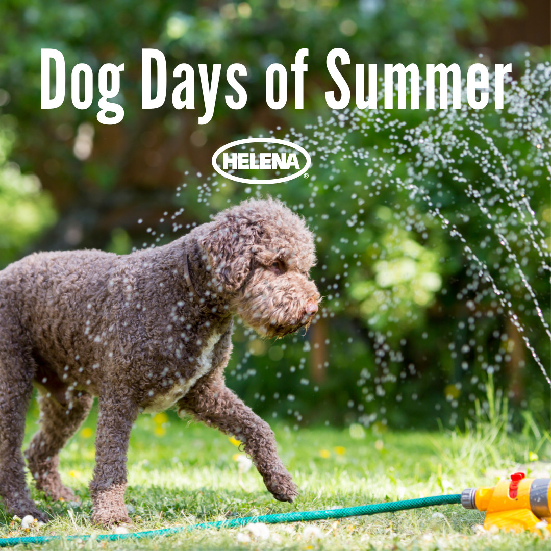 Helena Specialty tweet media