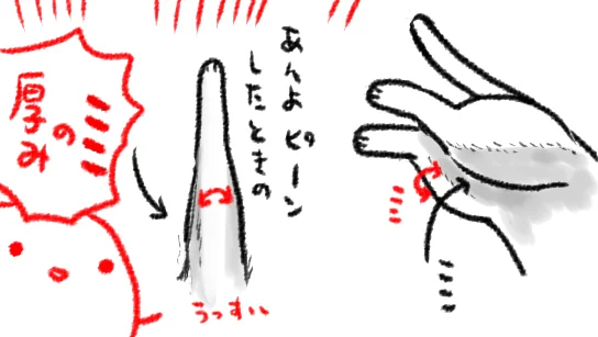 ねこのなめらかなねじれはよいものですね…
ところでわたし、ねこのこの部分が好きなのですがお分かりいただけるでしょうか… 