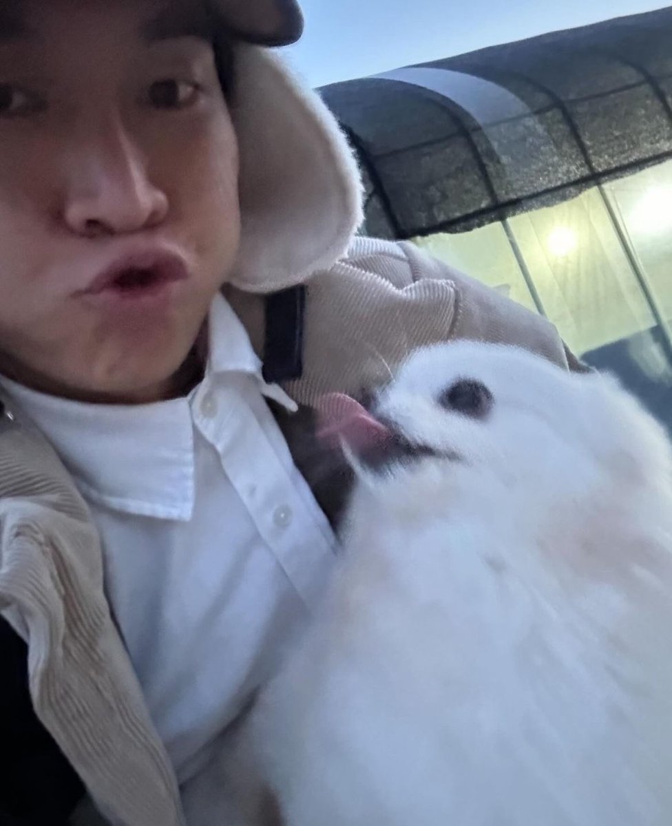 2chang_b_sik's tweet photo. 비투비 + 강아지

필승조합 https://t.co/BmVlwOvEGp