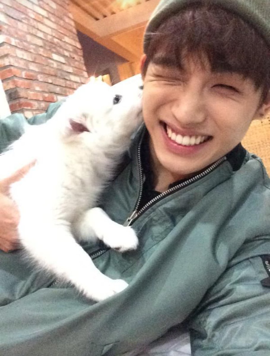 2chang_b_sik's tweet photo. 비투비 + 강아지

필승조합 https://t.co/BmVlwOvEGp
