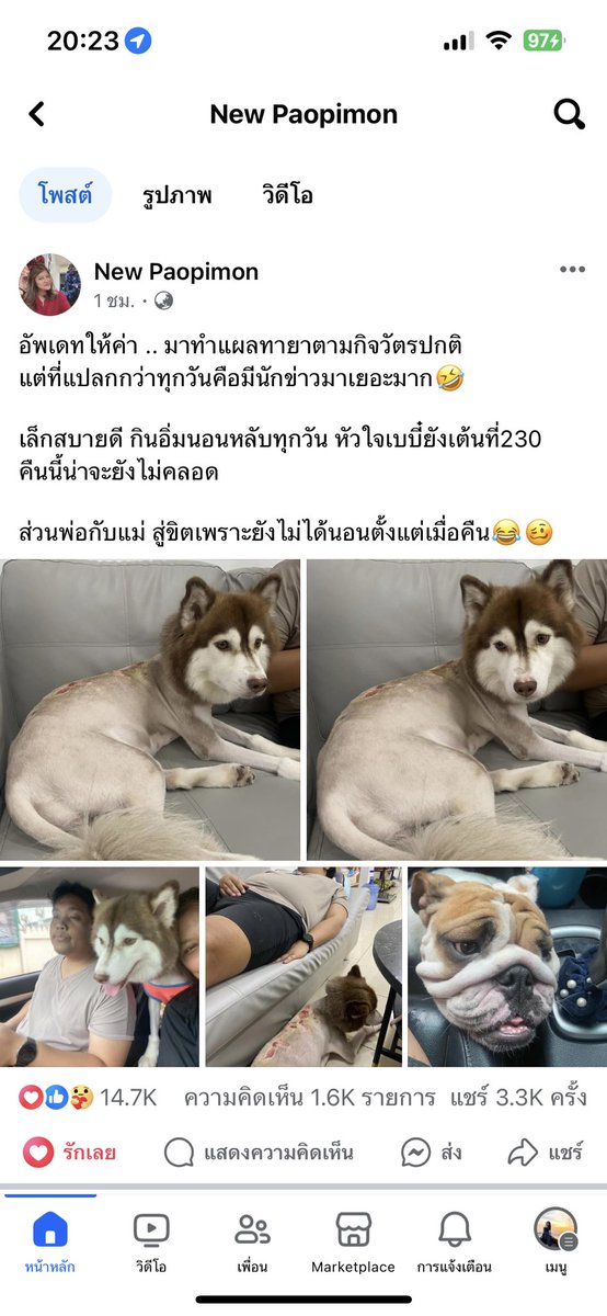SABUNBAKE's tweet photo. เฟซคุณแม่ที่ดูแลน้อง #หมวยเล็ก อยู่ค่ะ
มีร้านอาหารด้วยนะคะ ใครอยู่แถวหนองบัวลำภู ฝากซัพพอร์ตคุณเขาด้วยน้าา https://t.co/rKwpfLpt8s