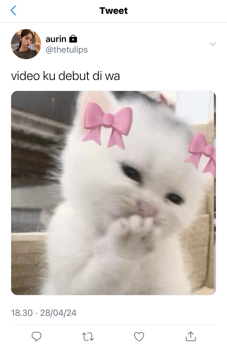 laveeis's tweet photo. 296. https://t.co/JBV6oRsr4l