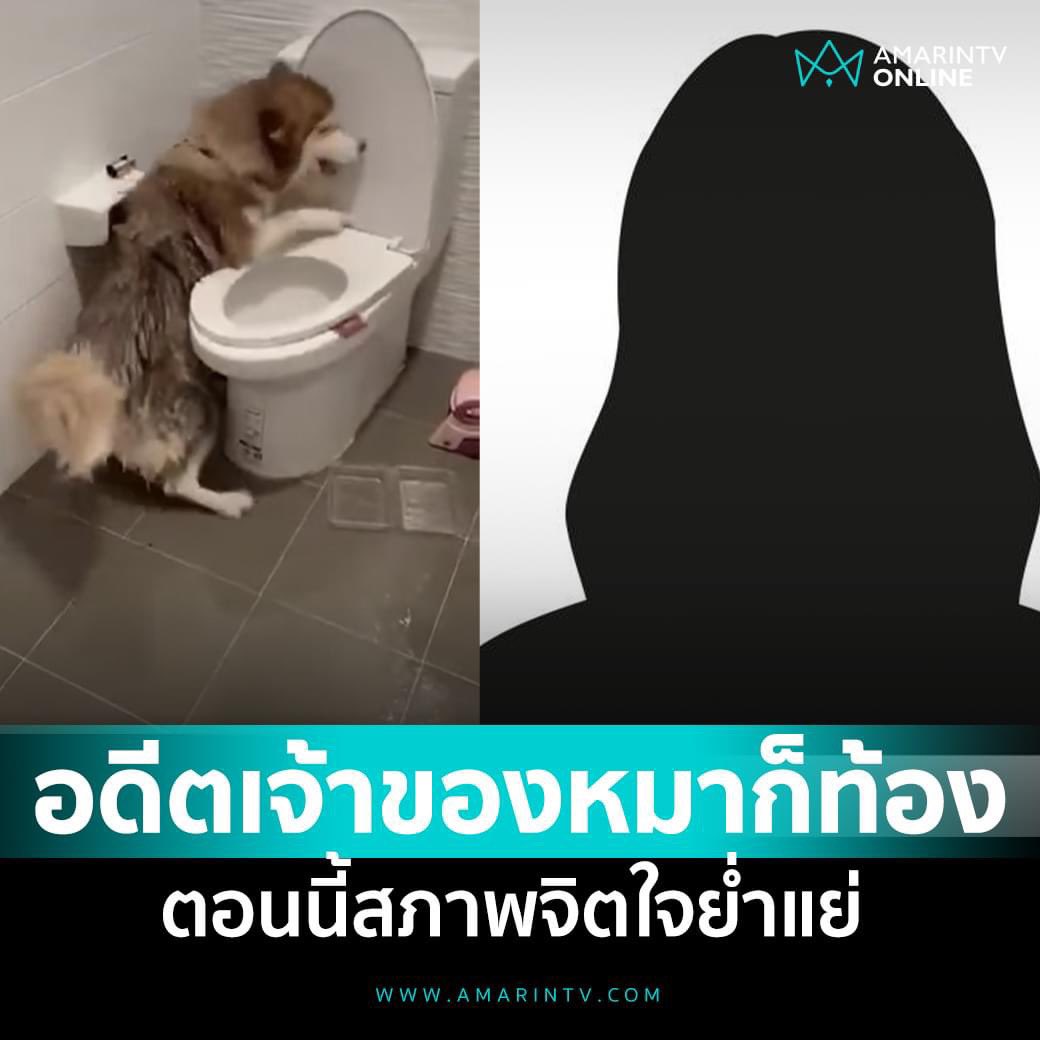 mareemari tweet media