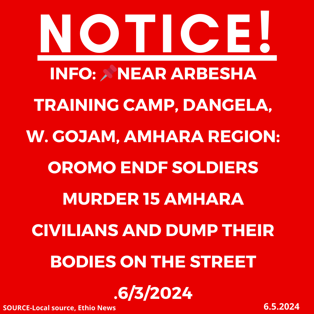 xotrinx1's tweet photo. INFO: ๐Near Arbesha training camp, Dangela, W. Gojam, Amhara region: Oromo ENDF soldiers murder 15 Amhara civilians and dump their bodies on the streets.6/3/2024
#Ethiopia #Xotrin #AmharaRegion #FanoForces #Gonder #Gojam #Wello #Shewa #AmharaResistance #AmharaGenocide #OromoENDF