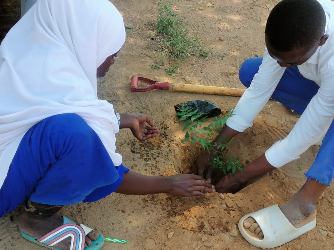 WindleKe_Som's tweet photo. Go Green, plant more trees🌳
On #WorldEnvironmentDay‌ today,we unite with our students,teachers,partner agencies and local communities to protect and restore our planet through tree planting activities in our schools in #Dadaab

#ClimateAction https://t.co/4Yfjw8H9Ui