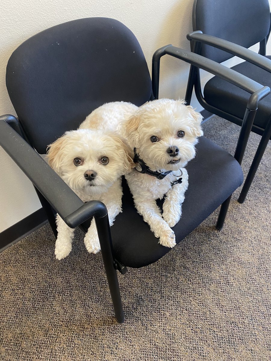 MSUM Construction Management tweet media