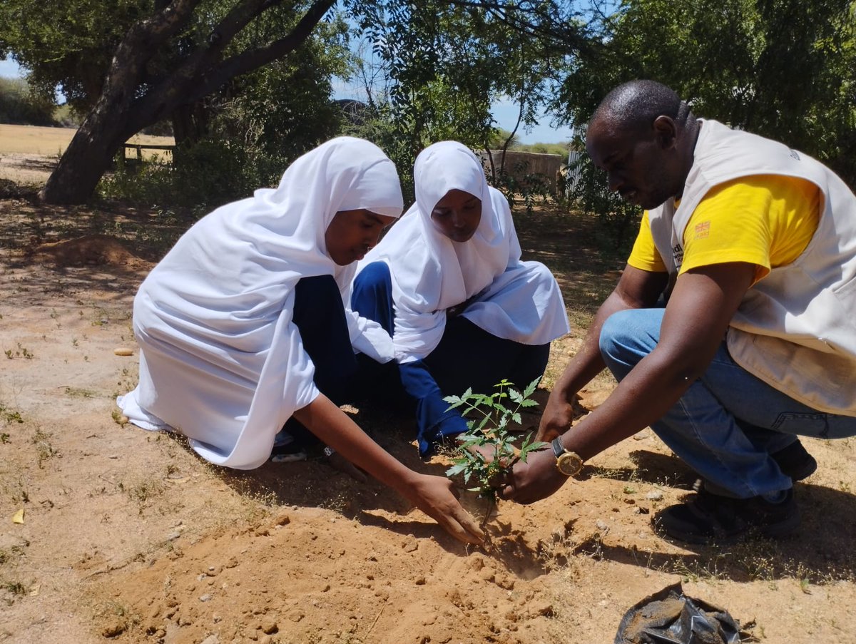 WindleKe_Som's tweet photo. Go Green, plant more trees🌳
On #WorldEnvironmentDay‌ today,we unite with our students,teachers,partner agencies and local communities to protect and restore our planet through tree planting activities in our schools in #Dadaab

#ClimateAction https://t.co/4Yfjw8H9Ui