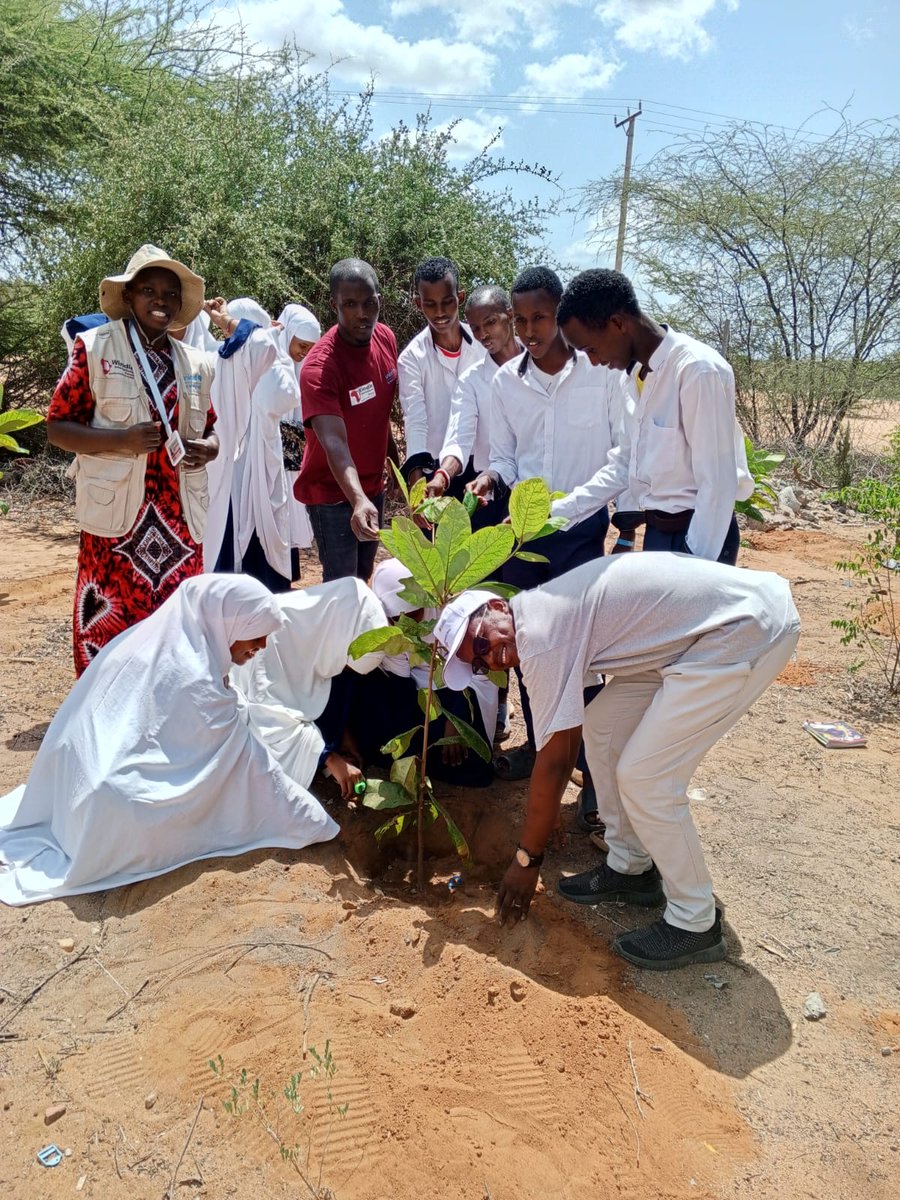 WindleKe_Som's tweet photo. Go Green, plant more trees🌳
On #WorldEnvironmentDay‌ today,we unite with our students,teachers,partner agencies and local communities to protect and restore our planet through tree planting activities in our schools in #Dadaab

#ClimateAction https://t.co/4Yfjw8H9Ui