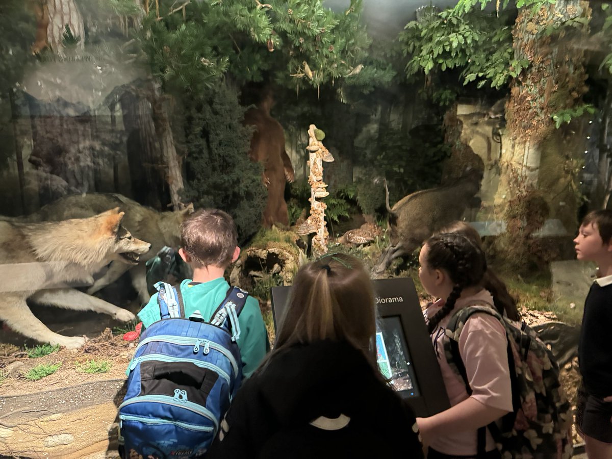 Lots of fun for P4 today at the National Museum of Scotland