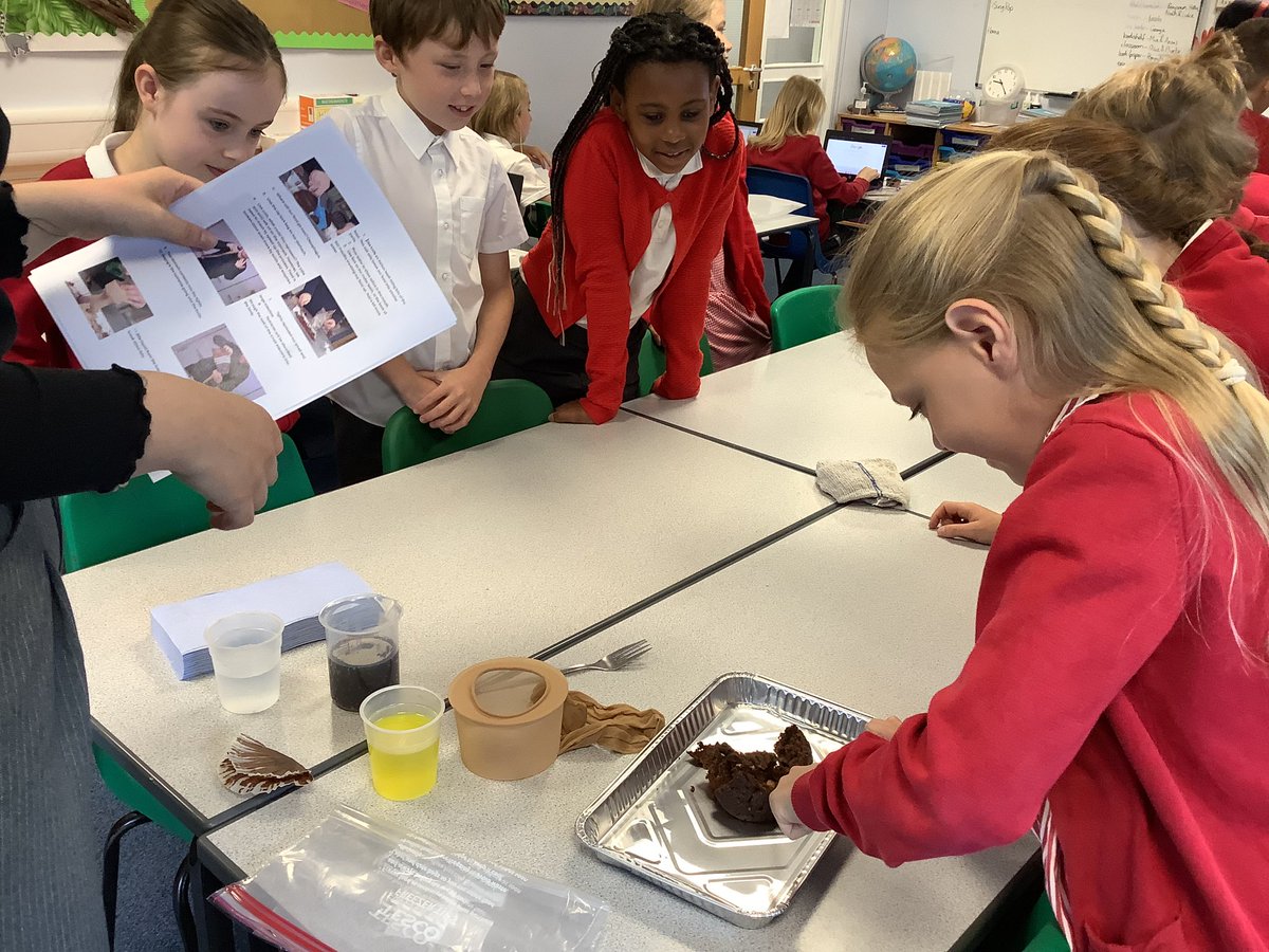 Barfordstpeters's tweet photo. Year 4 had a very interesting science lesson discovering how our digestive systems work! #bspScience https://t.co/CWmQxC1AE5