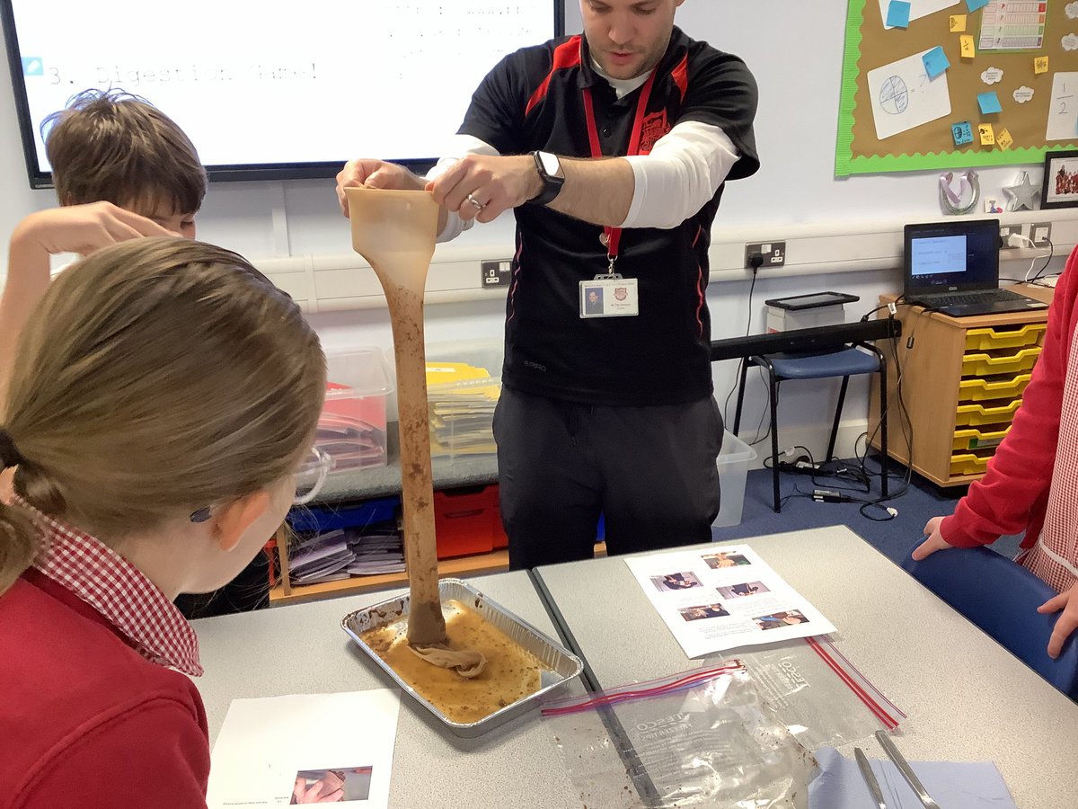 Barfordstpeters's tweet photo. Year 4 had a very interesting science lesson discovering how our digestive systems work! #bspScience https://t.co/CWmQxC1AE5