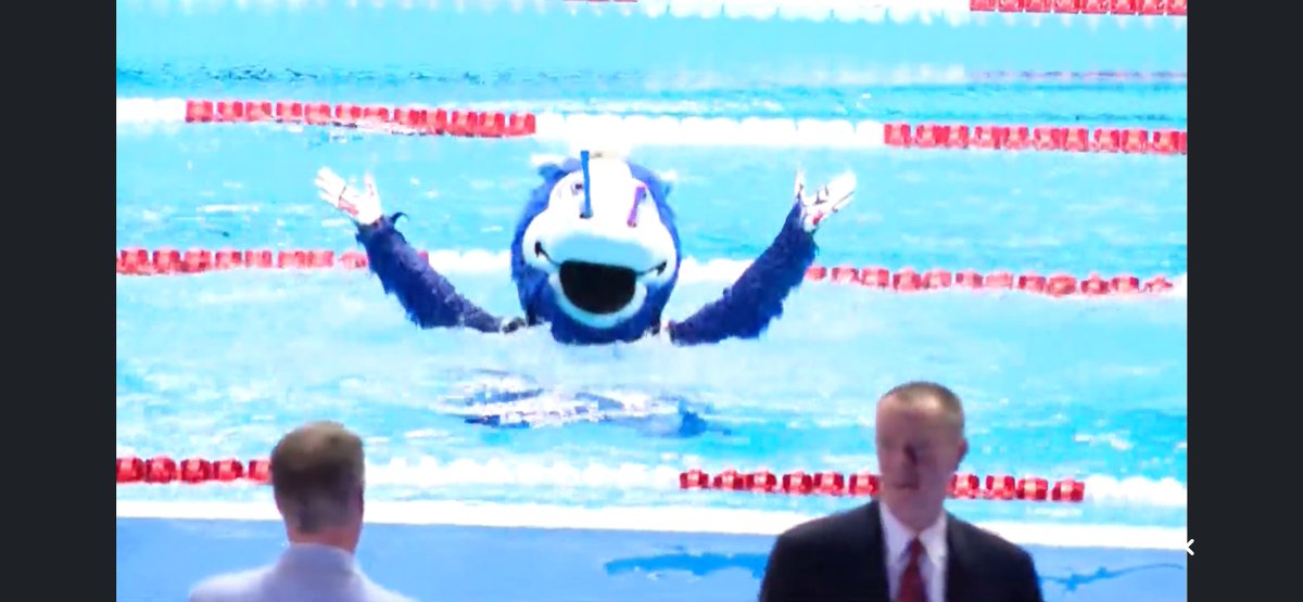 BoilerHall's tweet photo. @USASwimming just officially revealed the pool for the Olympic Swim Trials at @LucasOilStadium and @blue  just dove in! 🤣 @WTHRcom @Colts You’re my boy Blue!!! https://t.co/mF9G6mvBs5