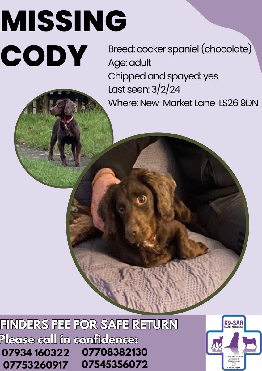 rosieDoc2's tweet image. #SpanielHour 
CODY still missing 
#TheftbyFinding 🤔
Chocolate #CockerSpaniel adult (her right ear is longer than the other) chipped&amp;amp;spayed 
Last seen 3/2/24
NEW MARKET LANE, #LS26 #Methley 
DO U HAVE ANY INFO? 
doglost.co.uk/dog-blog.php?d…

@MethleyLabour @MethleyVillage @RachaelB100