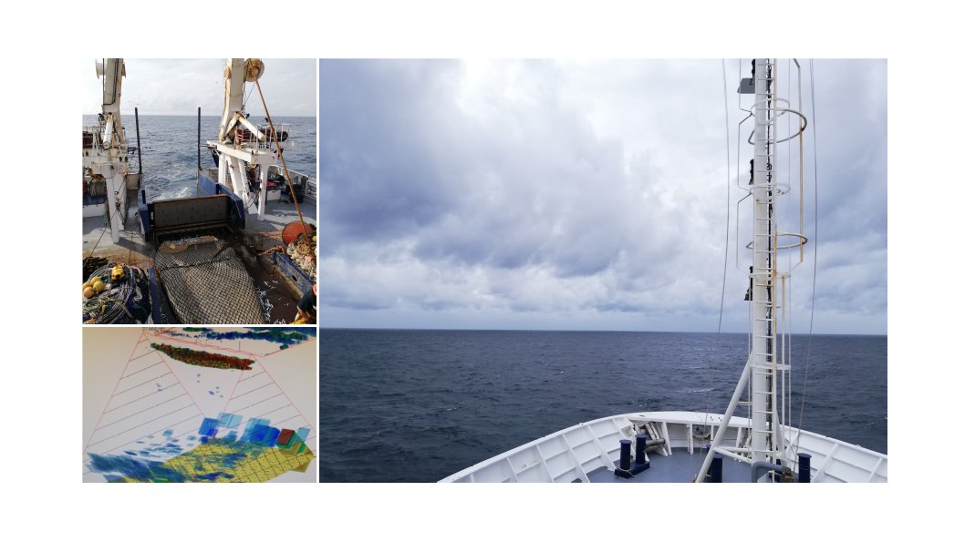 Marine Ballutaud tweet media