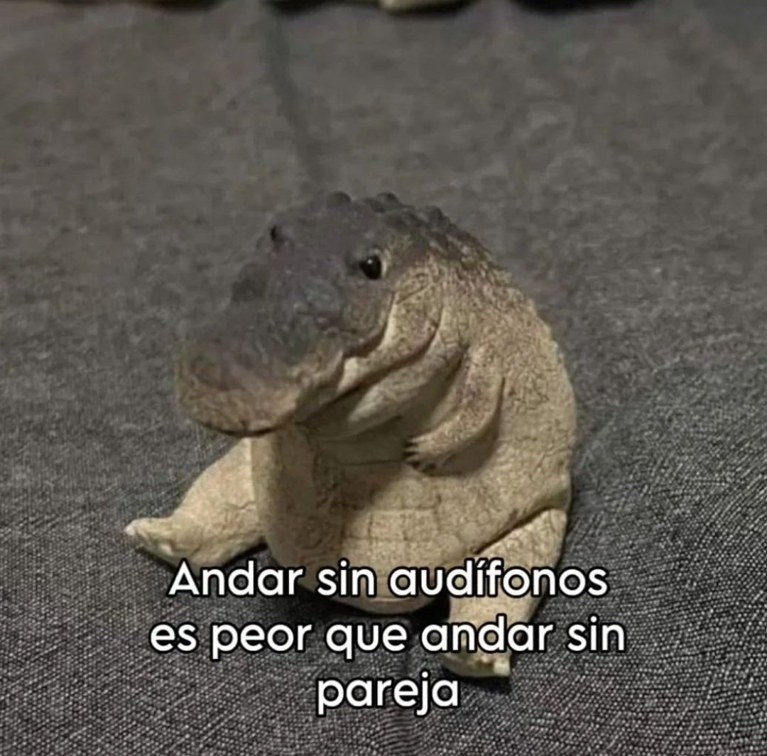En Júpiter (@en_jupiter_) on Twitter photo 
