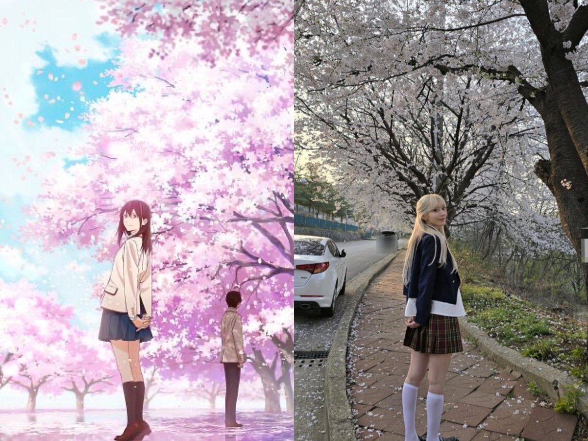 kuragawa1's tweet photo. 君の膵臓をたべたい🌸

Sakura recreate Yamauchi Sakura pose from I Want to Eat Your Pancreas anime
 #宮脇咲良 #sakumail #사쿠라 https://t.co/RNb9rne9QO