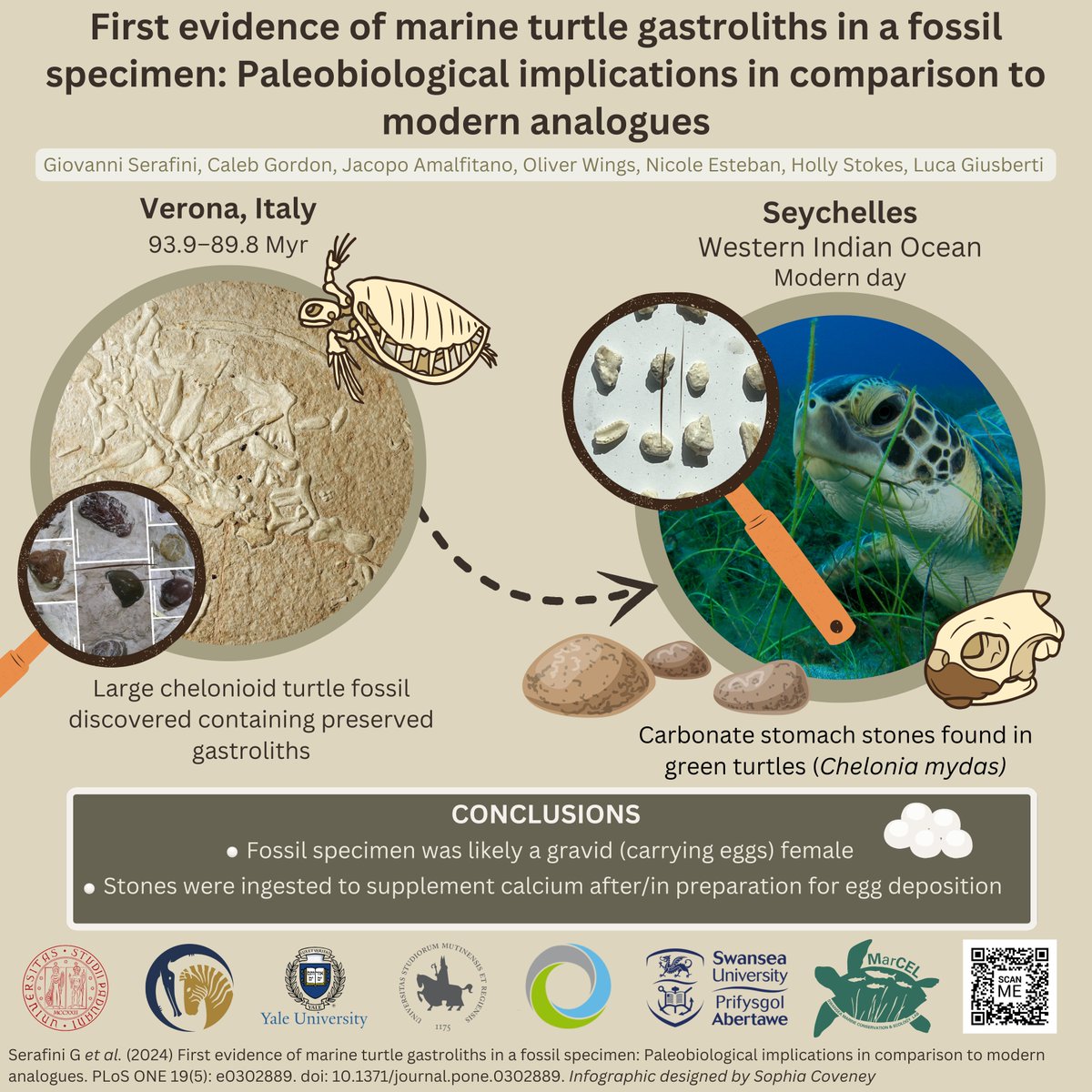 MarCEL Swansea tweet media