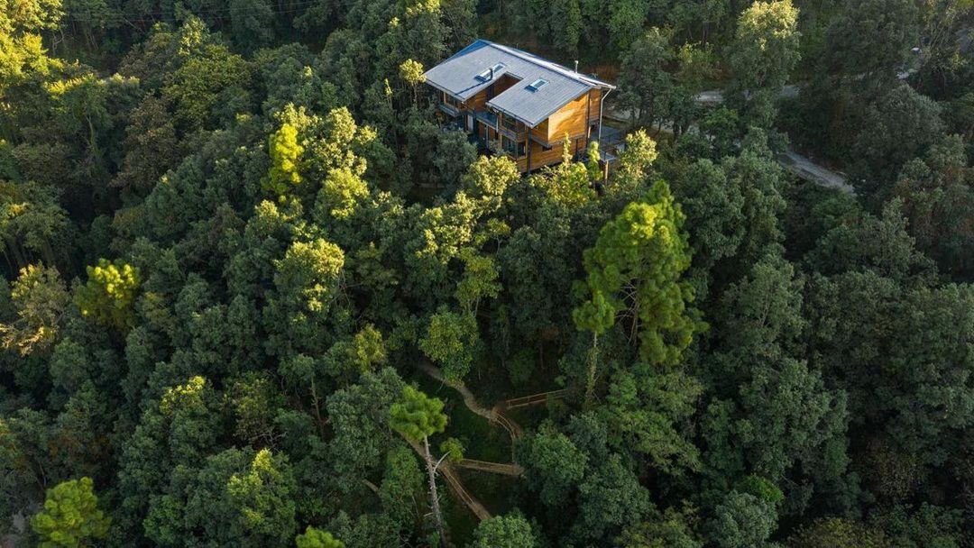 hyphendesign's tweet photo. We are very fortunate to have been working with #brands that have #sustainability in their DNA and everyday!

@RaasHotels @bluecatpaper @letsgoless 
#WorldEnvironmentDay‌ https://t.co/cSVWVeOoUq