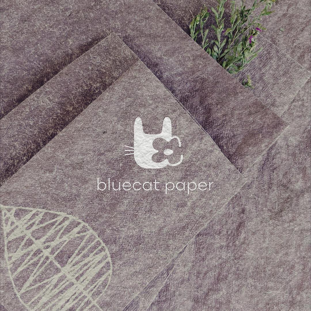 hyphendesign's tweet photo. We are very fortunate to have been working with #brands that have #sustainability in their DNA and everyday!

@RaasHotels @bluecatpaper @letsgoless 
#WorldEnvironmentDay‌ https://t.co/cSVWVeOoUq