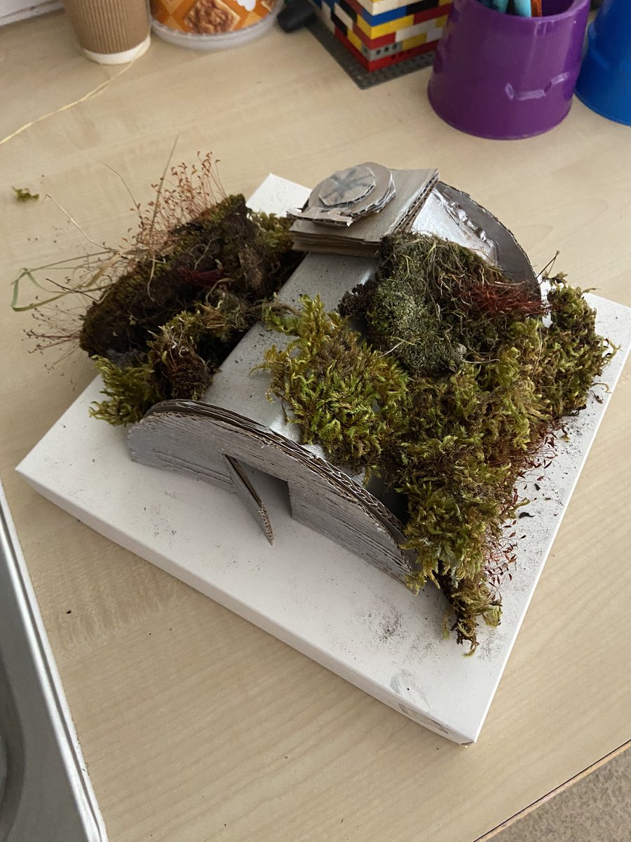 MrsSarahThomas1's tweet photo. Dosbarth yr Wyddfa have been creative learners, designing and building World War II shelters @MaesYMynydd https://t.co/YbQYXv9Snn