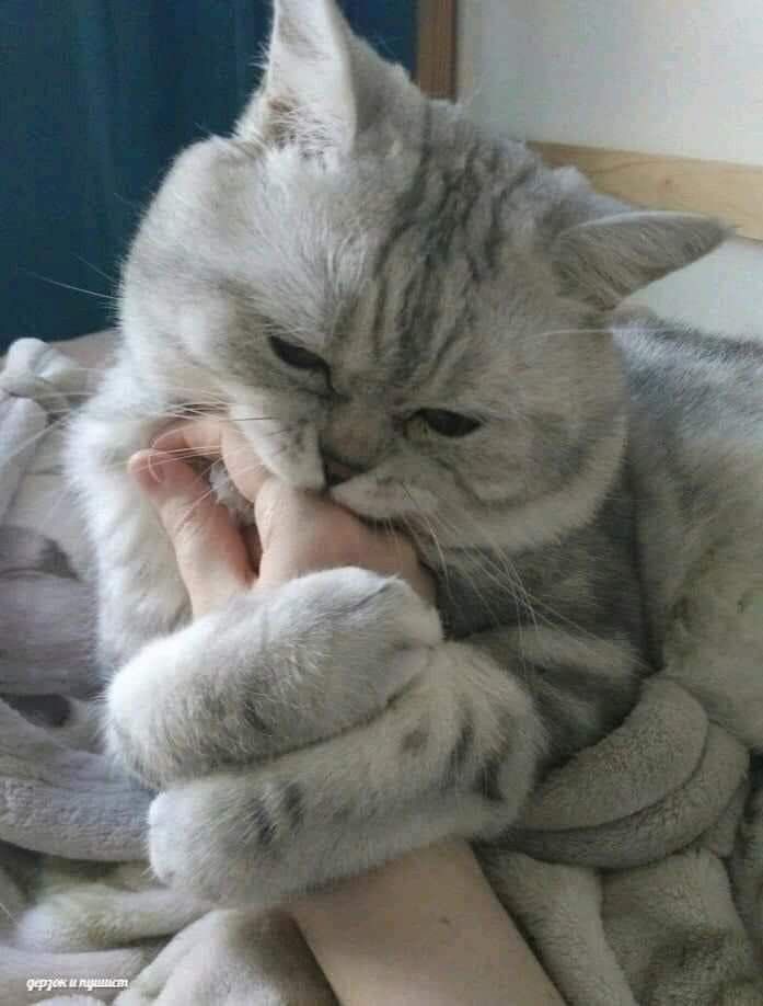 Vi fazendo achei legal hehe