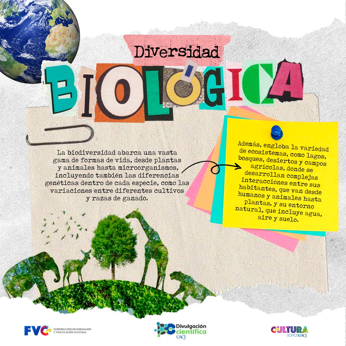 CIENCIAUACJ's tweet photo. 🌿🐝 La biodiversidad es la gran variedad de vida que existe en nuestro planeta, desde las plantas y los animales hasta los microorganismos. Cada especie desempeña un papel vital en los ecosistemas, contribuyendo a su equilibrio y funcionamiento. #dcucj https://t.co/ScDhv9t2iM