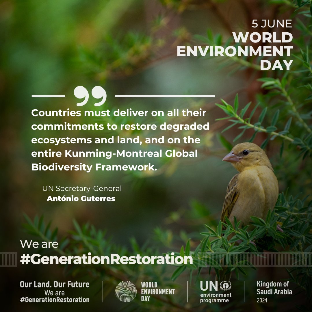 Degradation of the Earth’s land surface through human activities is negatively impacting the well-being of at least 3.2 billion people.

-<a href="/IPBES/">ipbes</a> #LandDegradation &amp; #Restoration Assessment

Let’s work together as #GenerationRestoration this #WorldEnvironmentDay‌

<a href="/antonioguterres/">António Guterres</a>