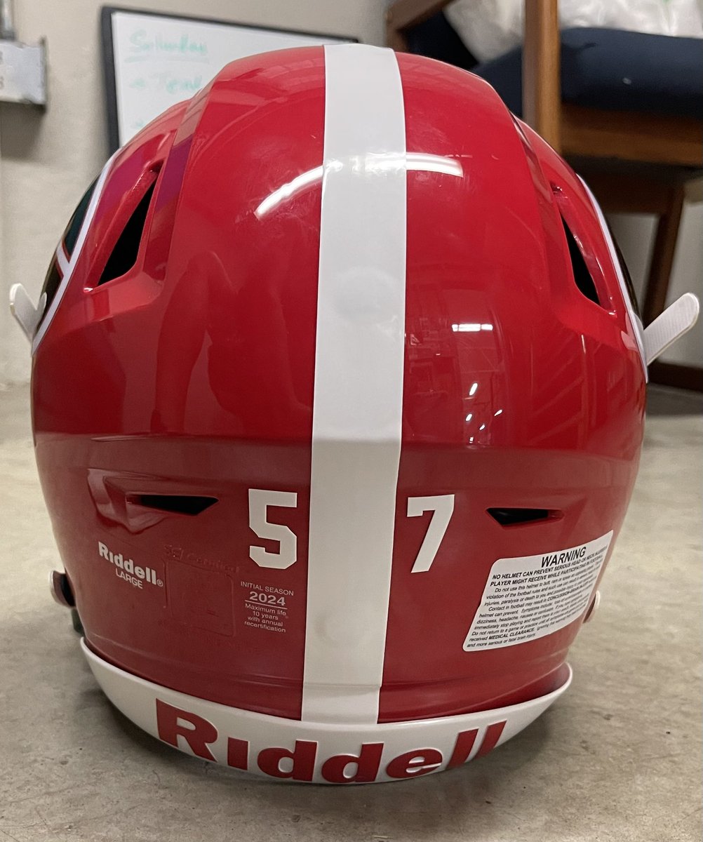 Helmets are going to look clean this year #GoDawgs