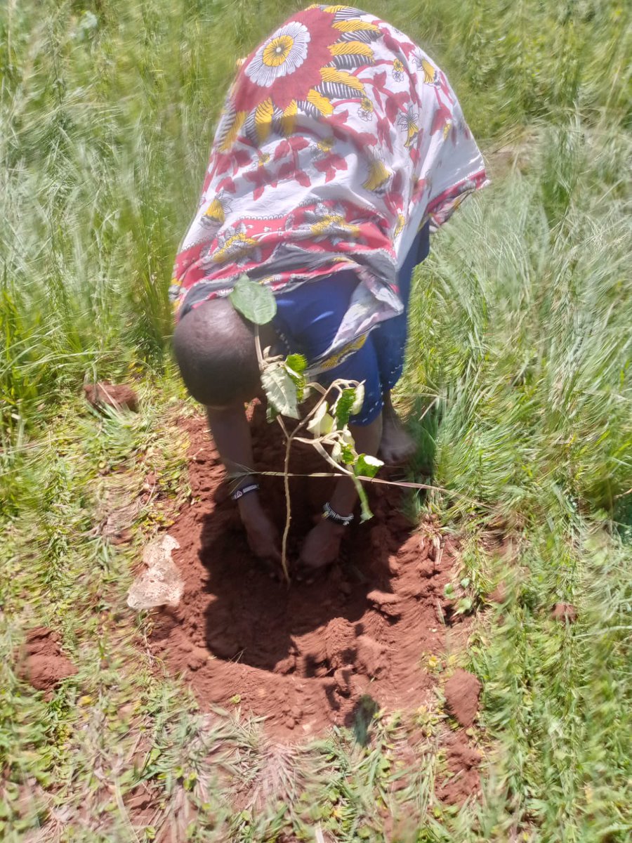 Indigenous Information Network tweet media