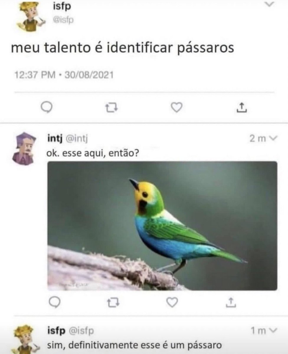 Comentarios melhor que o post (@melhorpost) on Twitter photo 