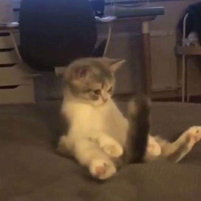 SShark_ix's tweet photo. #NewProfilePic https://t.co/uVhmSYnPvb