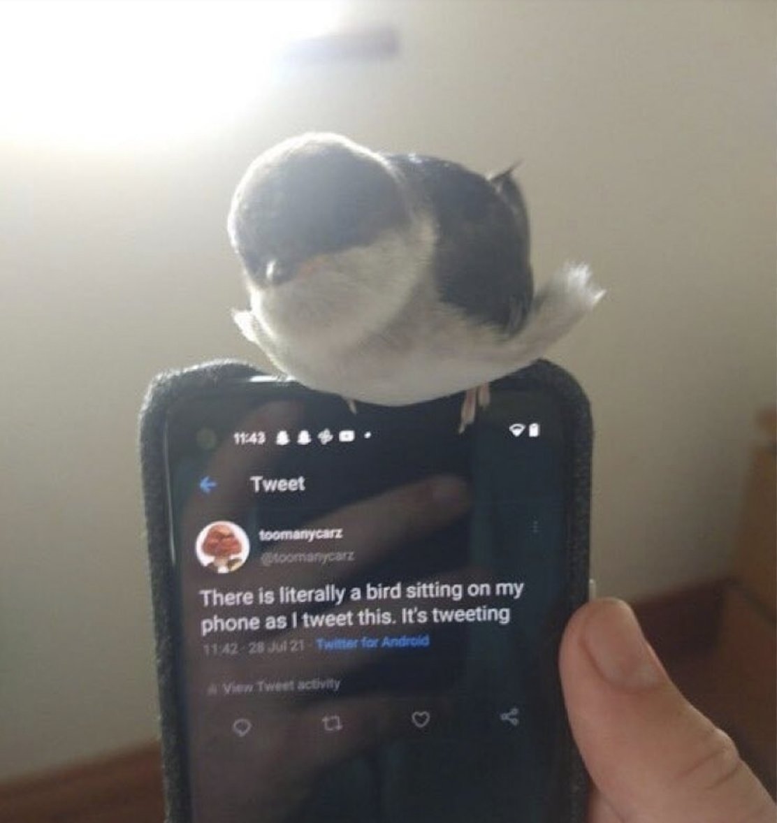 RespectfulMemes's tweet photo. https://t.co/c0WhPSJEPF