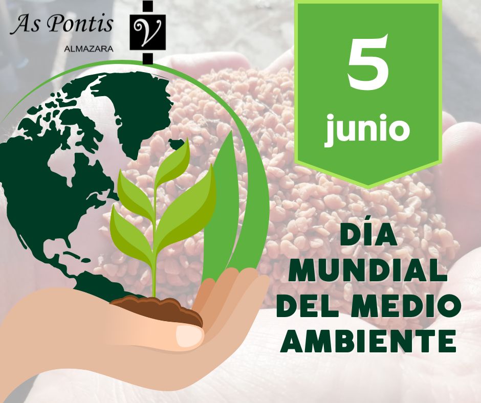 🍃 𝙁𝙚𝙡𝙞𝙯 𝘿𝙞́𝙖 𝙈𝙪𝙣𝙙𝙞𝙖𝙡 𝙙𝙚𝙡 𝙈𝙚𝙙𝙞𝙤 𝘼𝙢𝙗𝙞𝙚𝙣𝙩𝙚 🍂
El respeto a nuestro entorno es uno de los pilares, para ello reutilizamos los subproductos generados en el proceso de producción (ej. el hueso de aceituna 🫒, que sirve como biomasa para nuestra caldera