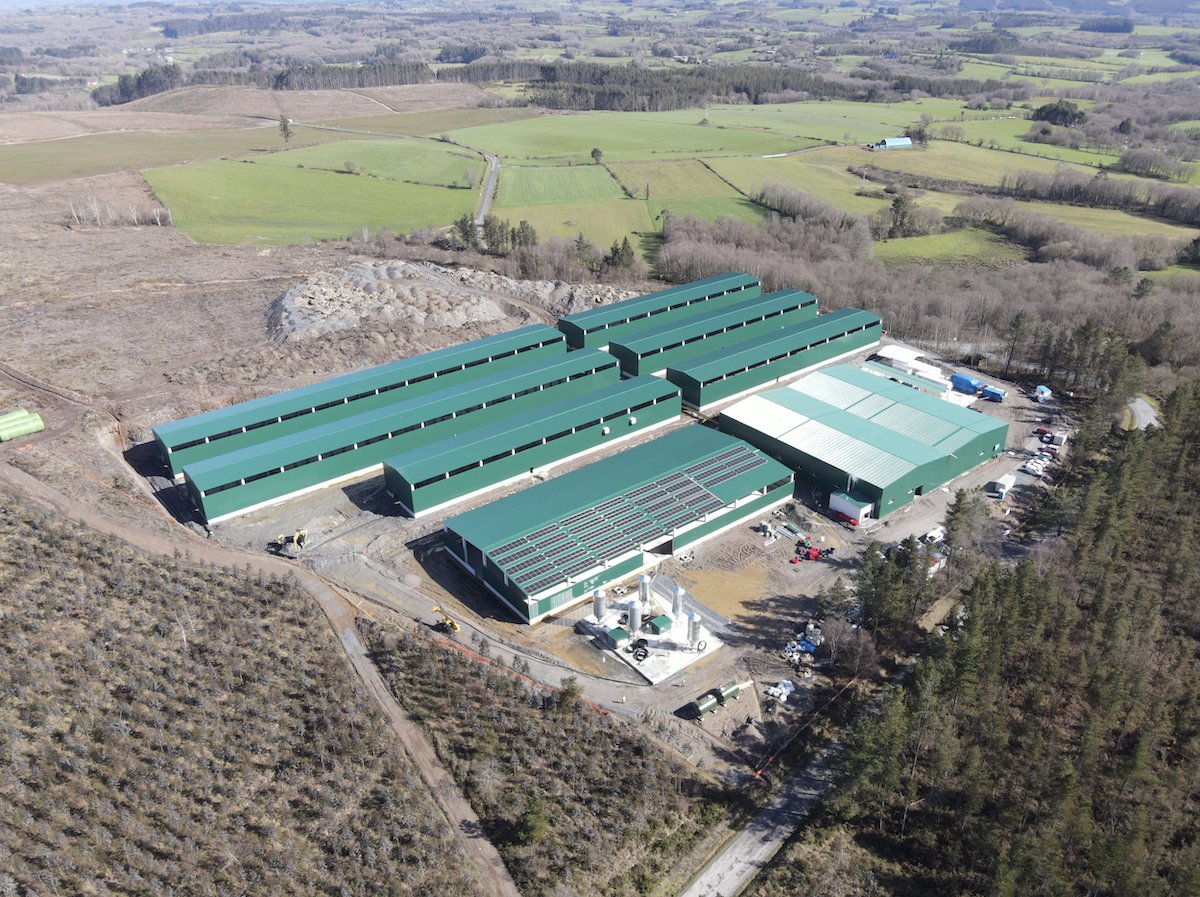 AnaVill96855504's tweet photo. #Galicia empieza producir HARINA DE MOSCAS soldado en la #fábrica de #Bioflytech en #PalasDeRei
Elaboración de #pienso para #mascotas y productos para la #acuicultura #avicultura
Apoyoda por #XuntaDeGalicia y el #ConcelloDePalasDeRei
https://t.co/ewh6zMeQTl https://t.co/5RVmP8nV7O