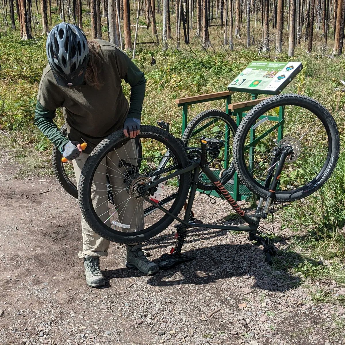 KellyCooleyCPS's tweet image. A reminder this #playcleangoweek to give your bike a good scrub with a @playcleango brush, or better, a full wash BEFORE &amp;amp; AFTER you hit the trail to keep #invasivespecies spread.
Kudos to Fernie, BC who have bike wash stations to protect #wildspaces - your community should too!