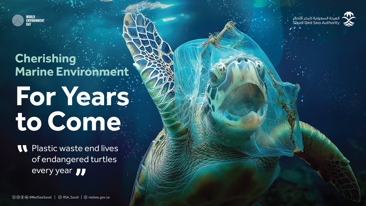 RedSeaSaudi's tweet photo. Proper disposal of plastic waste saves marine creatures for #YearsToCome 🐢
#GenerationRestoration https://t.co/8WWjqXWC4N