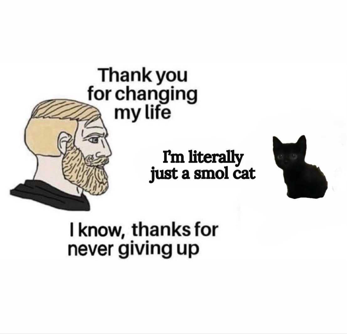 SMOLCATonSOL's tweet photo. smol soldiers never give up!!! https://t.co/OFyj9JF4w7