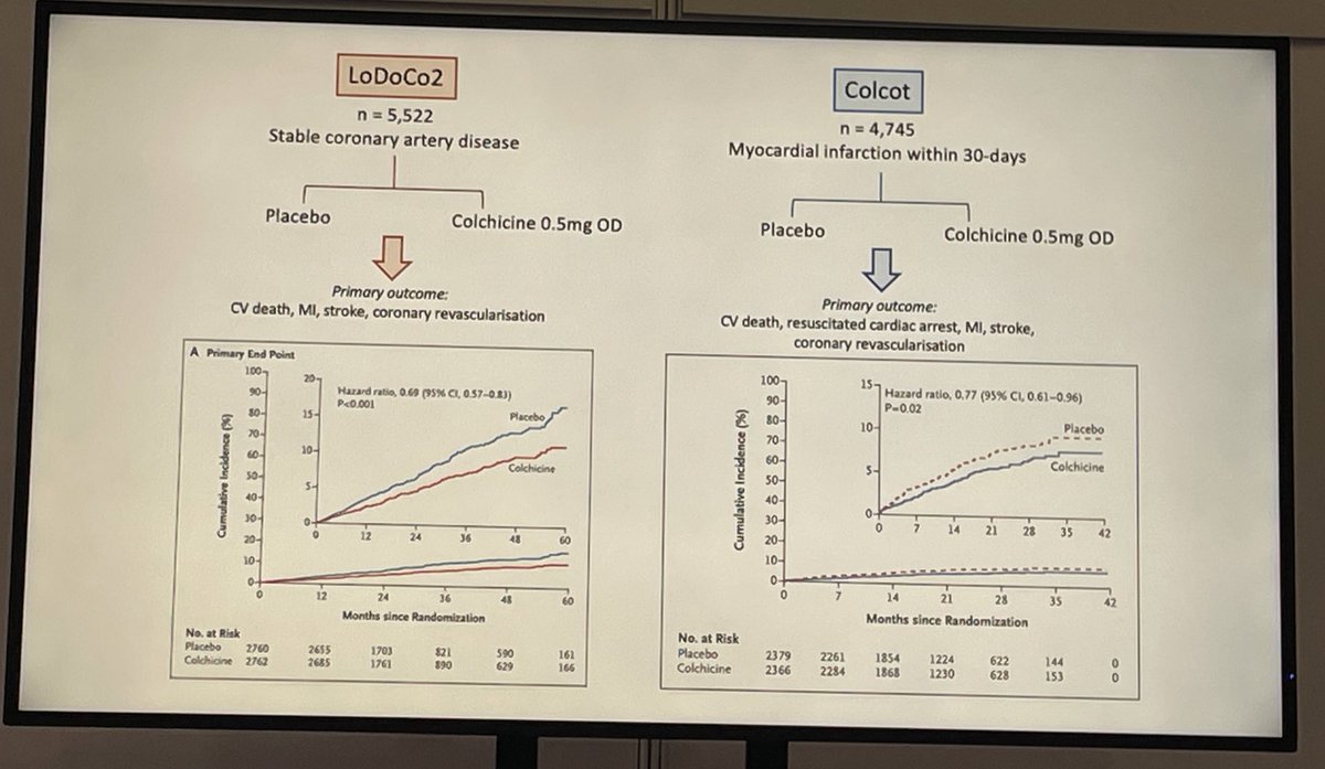 A reminder of the potential of colchicine in addressing inflammation as a CV risk - slide from <a href="/kayla_chiew/">Dr Kayla Chiew</a> at #bcs2024