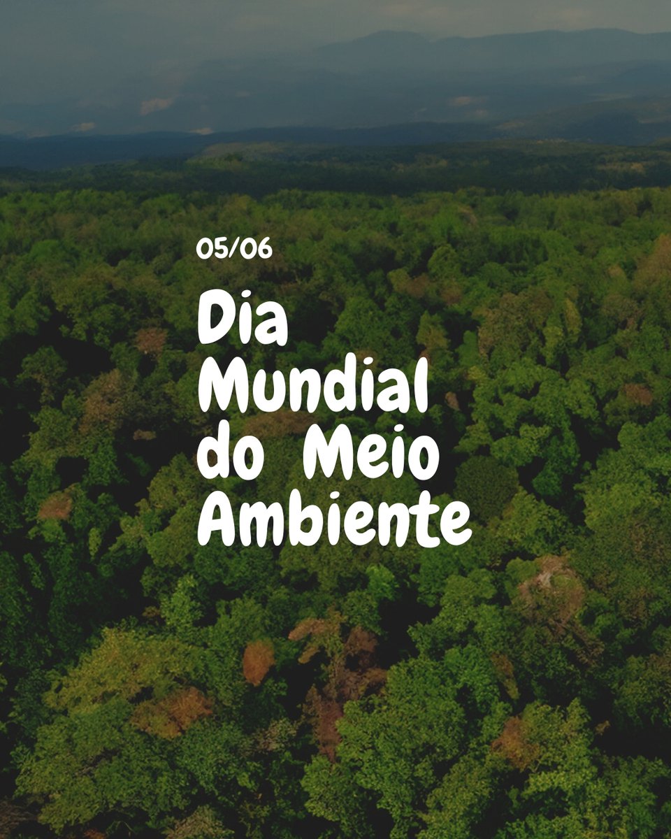 curtlobr's tweet photo. 5/6 – Dia Mundial do Meio Ambiente
#vidaaoarlivre #meumundocurtlo #aondevocêfor #diadomeioambiente #consumoconsciente #reduzir #reutilizar #reciclar https://t.co/l4ztNWrvSi