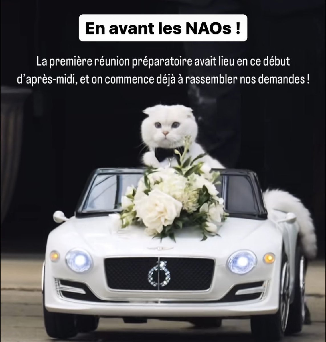 LeCIDREfr's tweet photo. La première réunion préparatoire des NAO avait lieu cette après-midi! 😱

Et commence déjà à ressembler vos demandes.
Dailleurs… Quelles seraient vos demandes? 🧐

N'hésitez pas à nous les partager ici ou sur Instagram! 🤓 https://t.co/GFXfsxhRAd