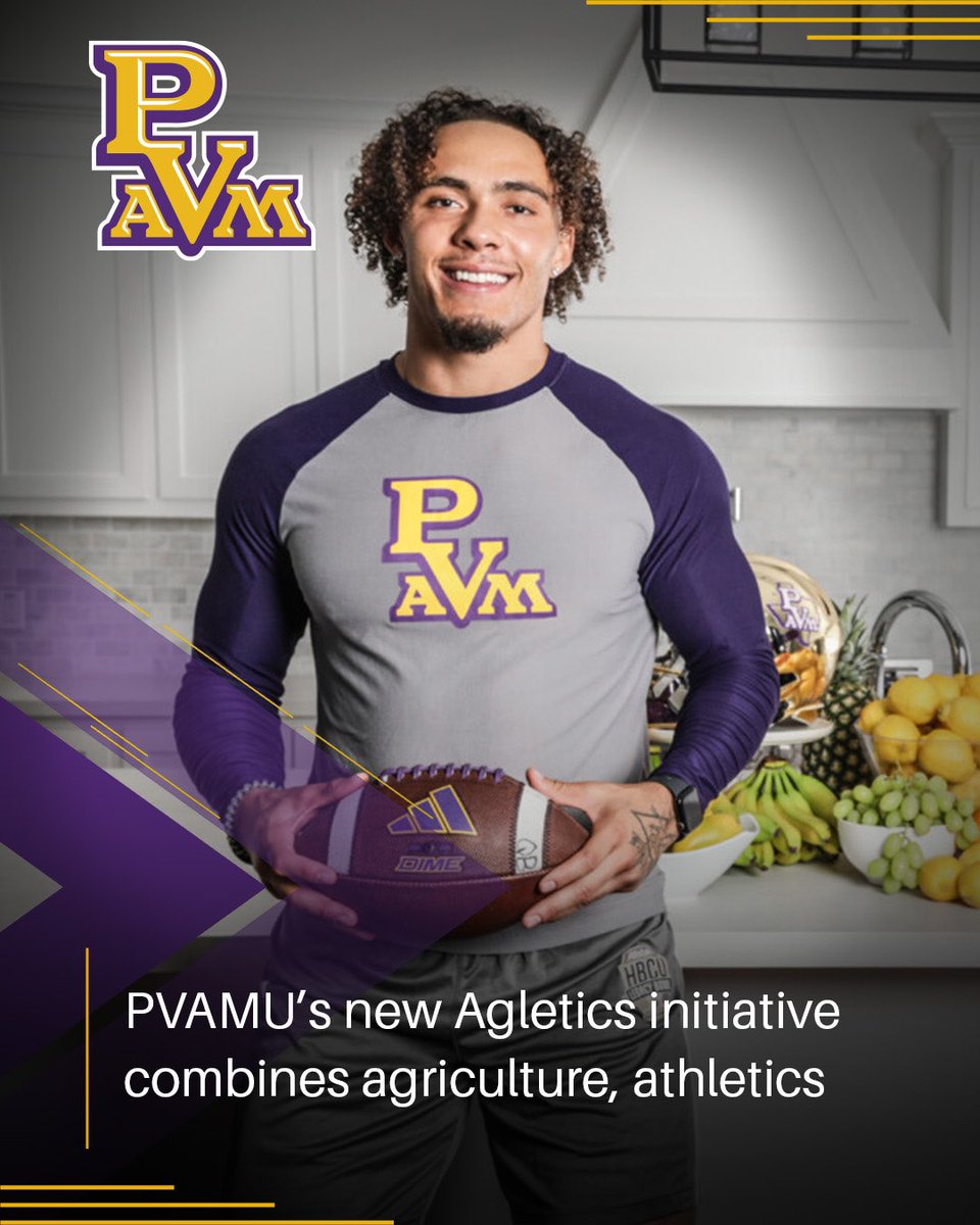 PVAMU’s new Agletics initiative combines agriculture, athletics🏈🌾. To read more, Click the link here🔗: pvamu.edu/blog/pvamus-ne…. #PVAMU #PV 💜💛🐾