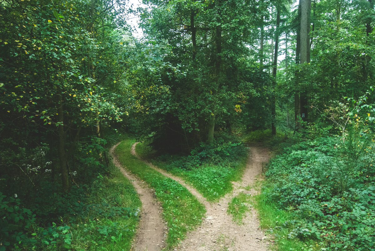 Making a #career decision can be tough - fortunately you don't have to do it alone.  If you weren't able to make it to today's Career Briefing Session: Decision-making,read this blog post with links to further help and resources. edin.ac/4c8h2o0 #CareersMonth #Researchers