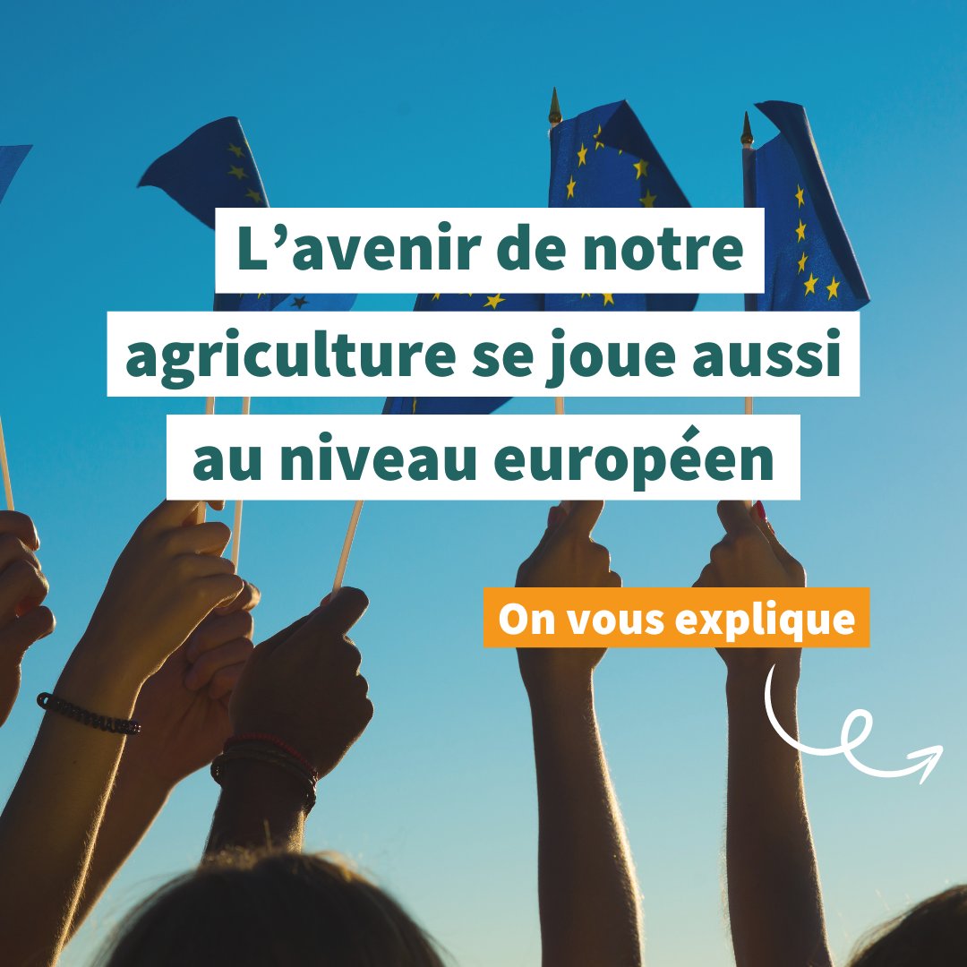 L’avenir de notre agriculture est en jeu ! ⚠️

Les élections 🇪🇺 du #9juin seront décisives pour l’avenir de l’agriculture française et européenne

On vous explique pourquoi 🧶