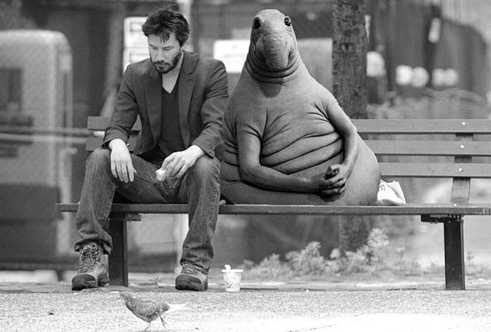 themoffinman's tweet photo. @WOSHsol #WOSH is one of a kind https://t.co/Rlh1ic4hnr