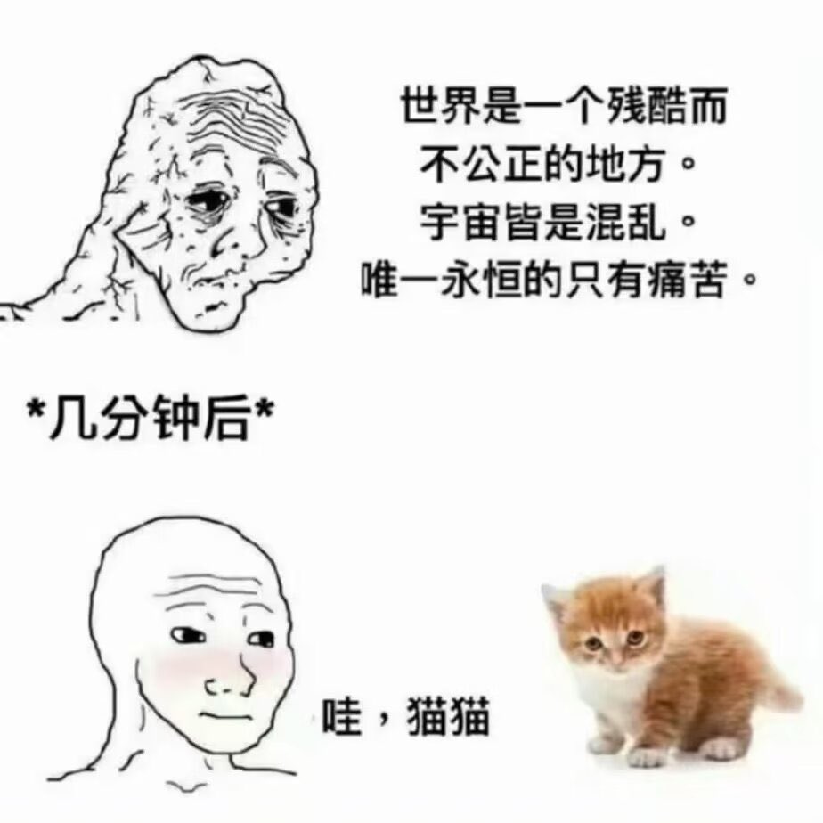 旗田安奈🍵 (@hatadanna) on Twitter photo 